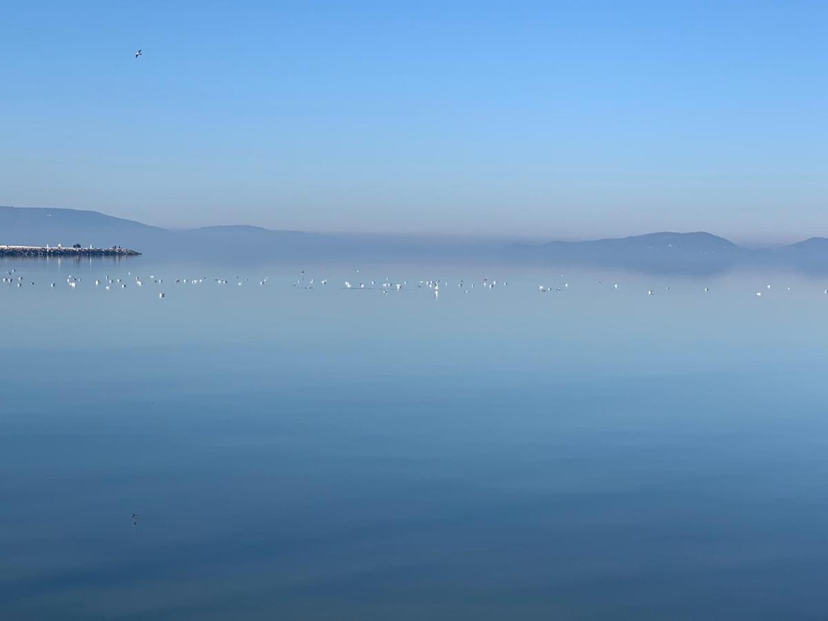 TópART Apartman I Balatonfenyves Exterior foto