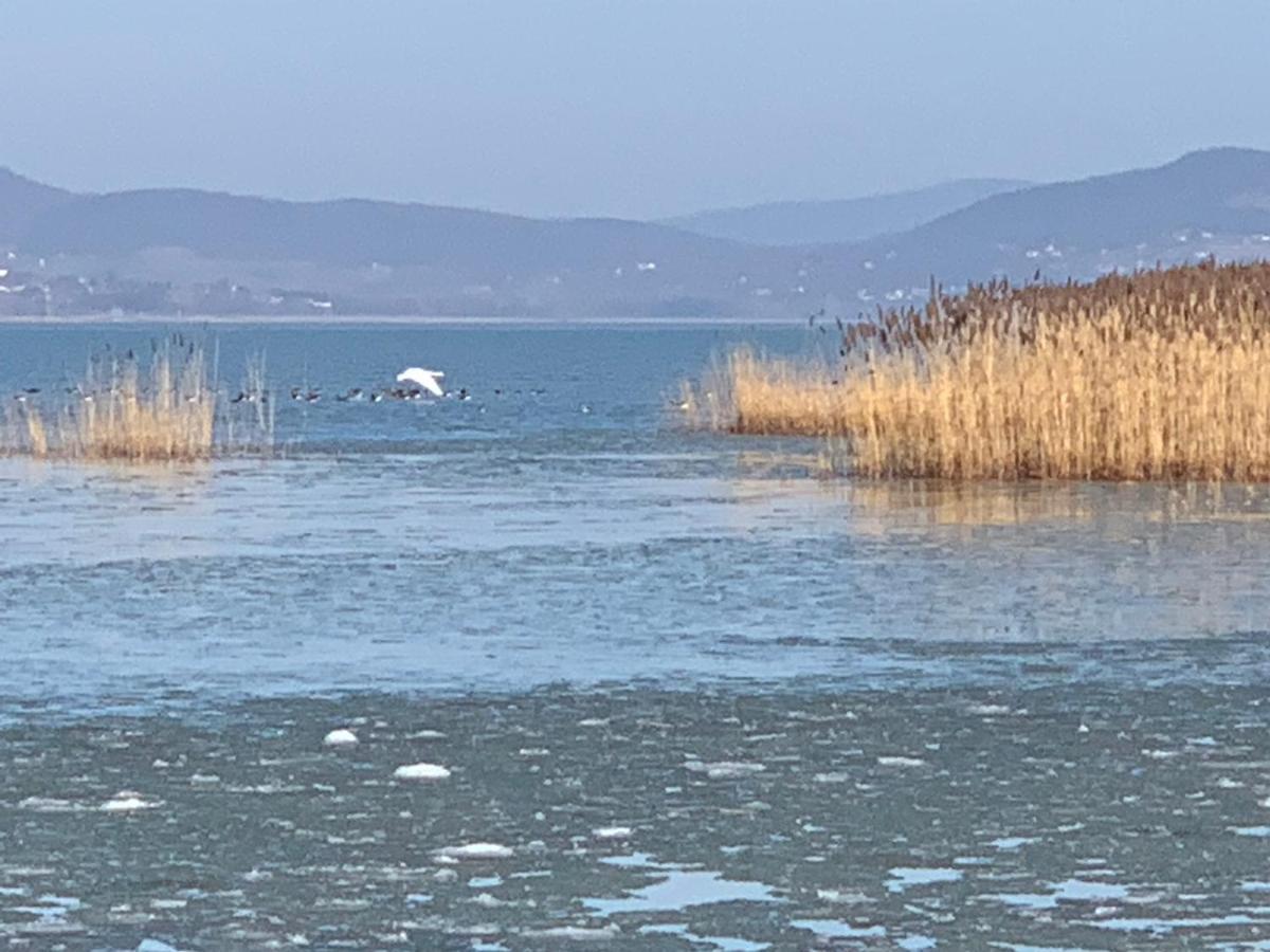 TópART Apartman I Balatonfenyves Exterior foto